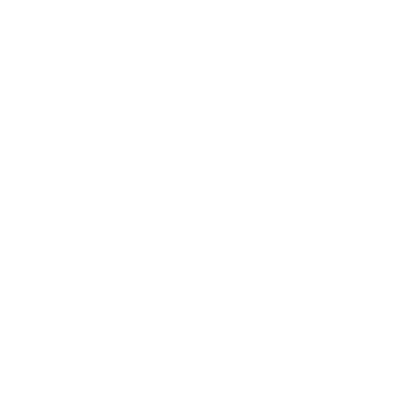 2-ICON