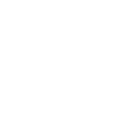 4-ICON